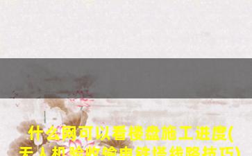 什么网可以看楼盘施工进度(无人机验收输电铁塔线路技巧)