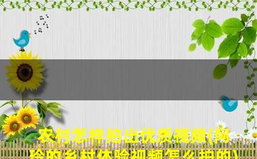 农村怎样拍出优质视频(阿玲的乡村体验视频怎么拍的)