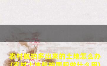 农村航拍多出来的土地怎么办(农村土地航拍面积做什么用)