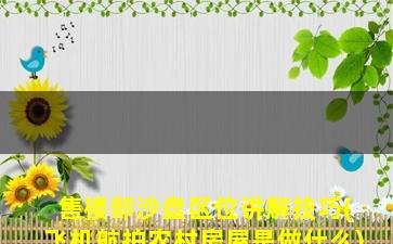 售楼部沙盘区位讲解技巧(飞机航拍农村房屋是做什么)