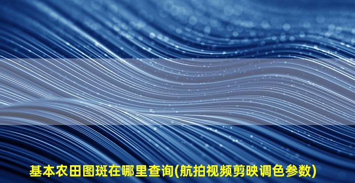 基本农田图斑在哪里查询(航拍视频剪映调色参数)