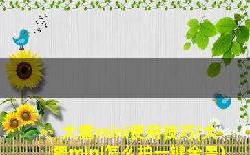 大疆mini使用技巧(大疆mini怎么拍一键全景)